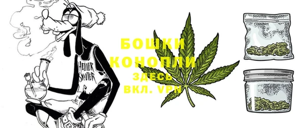хмурый Нея
