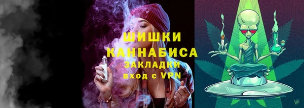 хмурый Нея