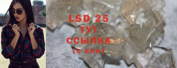 хмурый Нея