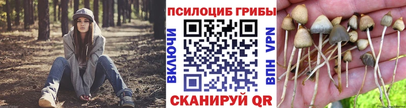 Купить где  Ессентуки  Псилоцибиновые грибы мухоморы 