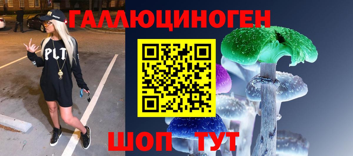 Псилоцибиновые грибы прущие грибы Ессентуки