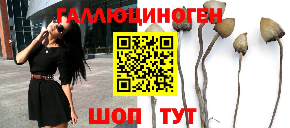 Ессентуки  Галлюциногенные грибы Magic Shrooms  Вход с VPN  Псилоцибиновые грибы мицелий 